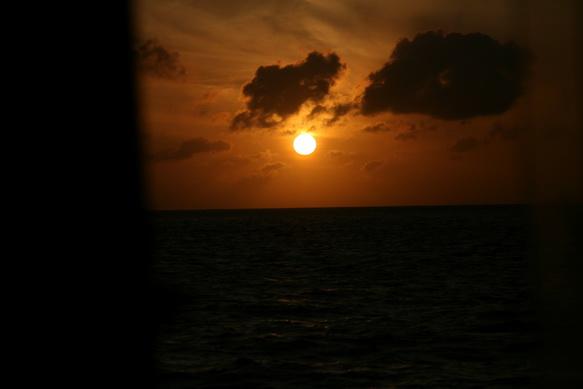 IMG_8573.JPG